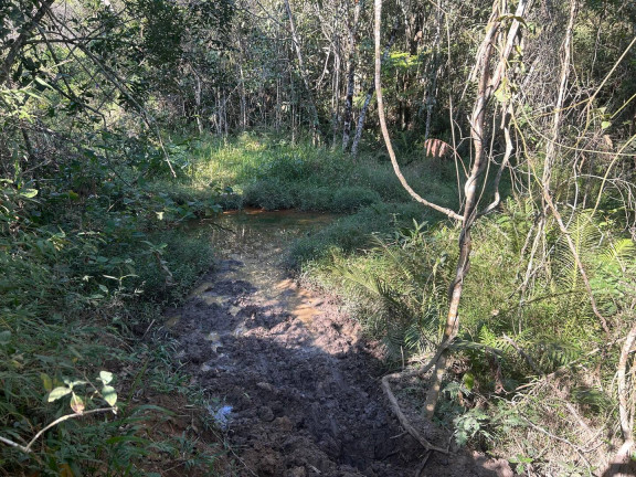 Imagem Terreno à Venda, 11 m² em Pedras - Itatiaiuçu Imagem Terreno à Venda, 11 m² em Pedras - Itatiaiuçu