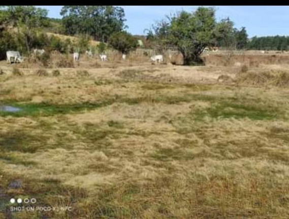 Imagem Chácara à Venda, 6 m² em Rural - Angatuba Imagem Chácara à Venda, 6 m² em Rural - Angatuba