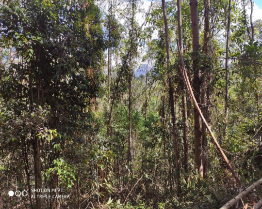 Imagem Imóvel à Venda, 2.500.000 m² em Fazenda Bela Vista - Nova Friburgo Imagem Imóvel à Venda, 2.500.000 m² em Fazenda Bela Vista - Nova Friburgo