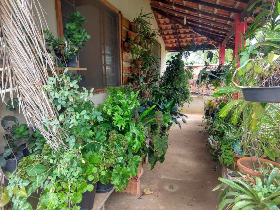 Imagem Casa com 2 Quartos à Venda, 1.000 m² em Jardim Gramado - Tatuí
