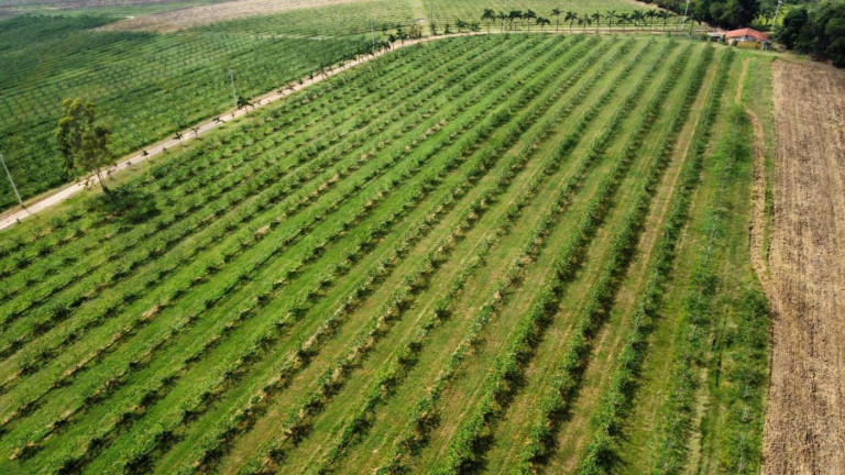 Imagem Chácara à Venda, 35 m² em Itu Imagem Chácara à Venda, 35 m² em Itu