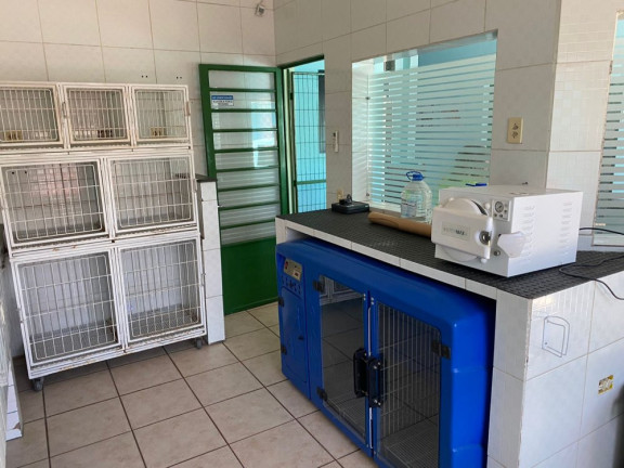 Imagem Imóvel com 5 Quartos para Alugar, 260 m² em Vila Lourdes - São Paulo Imagem Imóvel com 5 Quartos para Alugar, 260 m² em Vila Lourdes - São Paulo