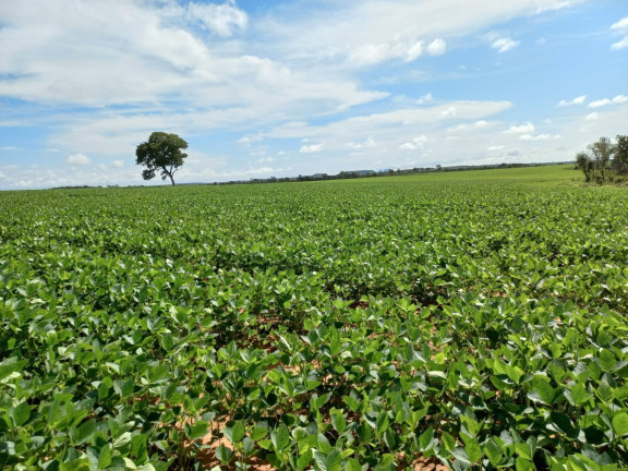 Imagem Imóvel à Venda, em Santa Maria Do Tocantins - Santa Maria Do Tocantins Imagem Imóvel à Venda, em Santa Maria Do Tocantins - Santa Maria Do Tocantins