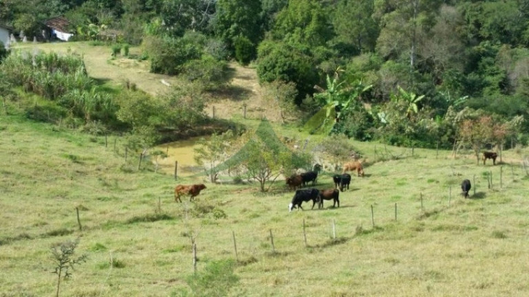 Imagem Chácara com 4 Quartos à Venda, 193.600 m² em Centro - Piracaia Imagem Chácara com 4 Quartos à Venda, 193.600 m² em Centro - Piracaia