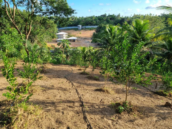 Imagem Imóvel à Venda, 12.000 m² em Zona Rural - Camaçari Imagem Imóvel à Venda, 12.000 m² em Zona Rural - Camaçari