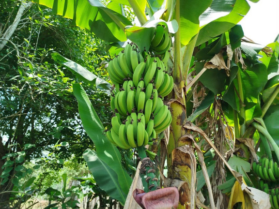 Imagem Imóvel à Venda, em São José Dos Campos Imagem Imóvel à Venda, em São José Dos Campos