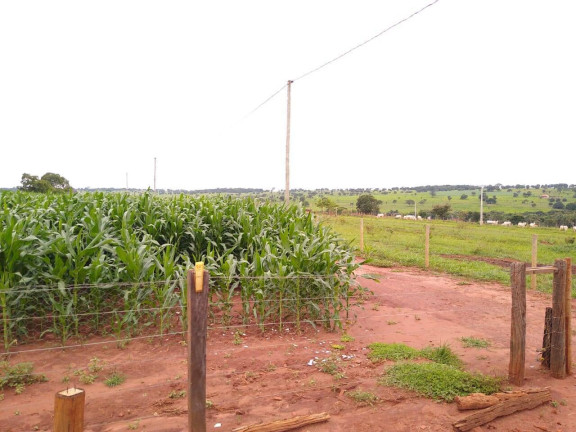 Imagem Fazenda à Venda, 23 m² em Centro - Santa Vitória Imagem Fazenda à Venda, 23 m² em Centro - Santa Vitória