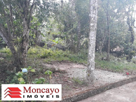 Imagem Terreno à Venda, 5.330 m² em Sertão Da Quina - Ubatuba Imagem Terreno à Venda, 5.330 m² em Sertão Da Quina - Ubatuba