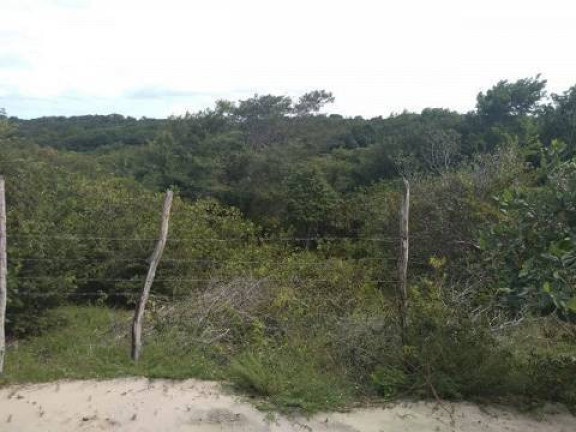 Imagem Terreno à Venda, 5 m² em Tibau Do Sul