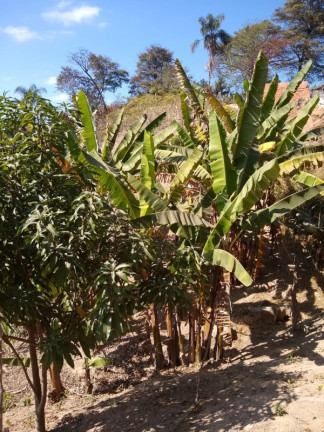 Imagem Terreno à Venda, 500 m² em Bandeirinhas - Betim Imagem Terreno à Venda, 500 m² em Bandeirinhas - Betim