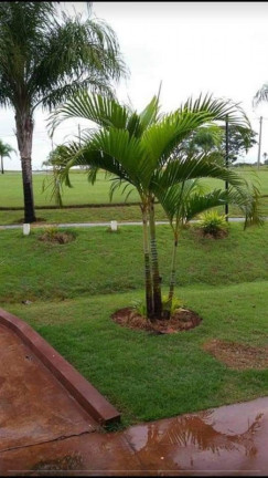 Imagem Imóvel à Venda, 68 m² em área Rural De Iacanga - Iacanga Imagem Imóvel à Venda, 68 m² em área Rural De Iacanga - Iacanga