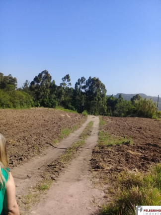 Imagem Imóvel com 2 Quartos à Venda, 80 m² em Zona Rural - Sentinela Do Sul Imagem Imóvel com 2 Quartos à Venda, 80 m² em Zona Rural - Sentinela Do Sul