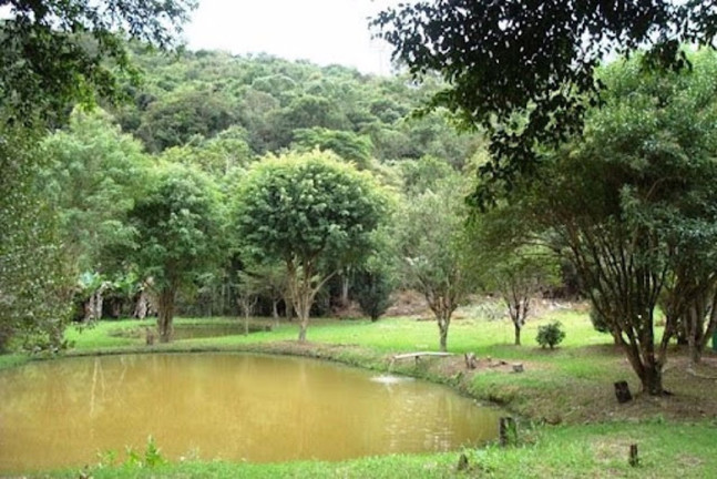 Imagem Chácara com 7 Quartos à Venda, 425 m² em Serra Negra - Bom Jesus Dos Perdões