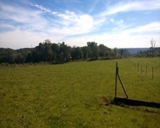Imagem Terreno à Venda, 4.000 m² em Linha Imperial - Nova Petrópolis Imagem Terreno à Venda, 4.000 m² em Linha Imperial - Nova Petrópolis