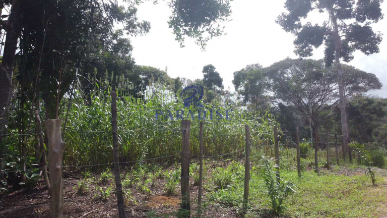Imagem Fazenda à Venda, 20.000 m² em Barra Do Pojuca - Camaçari Imagem Fazenda à Venda, 20.000 m² em Barra Do Pojuca - Camaçari