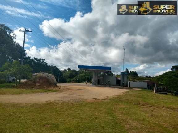 Imagem Imóvel com 8 Quartos à Venda, 60.000 m² em Centro - Canguçu