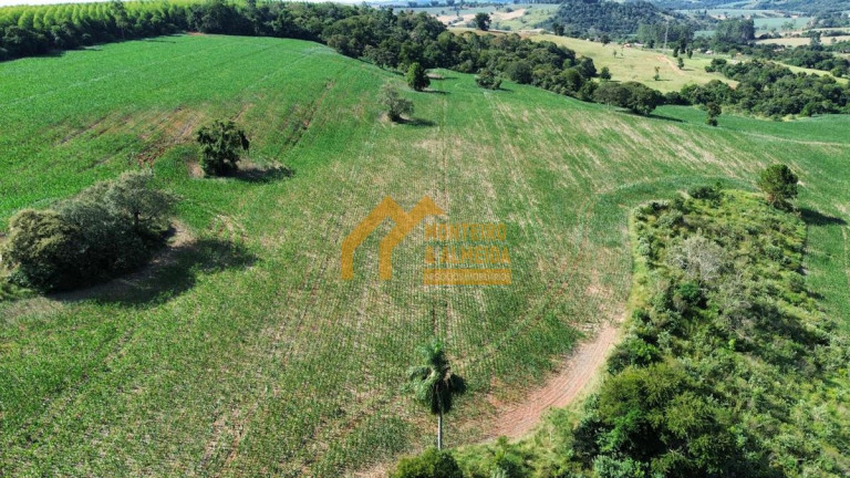 Imagem Fazenda à Venda, 605.000 m² em Vale San Fernando - Itapetininga Imagem Fazenda à Venda, 605.000 m² em Vale San Fernando - Itapetininga