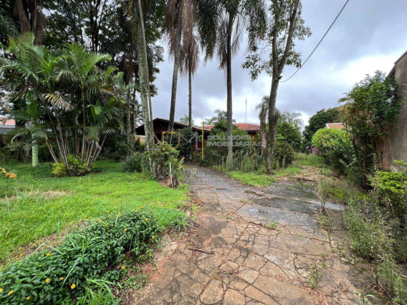 Imagem Casa com 5 Quartos à Venda, 267 m² em Vila Antártica - Botucatu