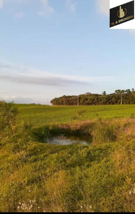 Imagem Imóvel com 4 Quartos à Venda, 30.250 m² em área Rural Lapa - Lapa