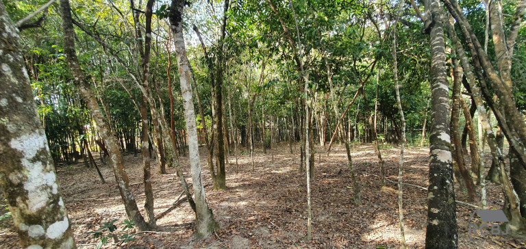 Imagem Terreno à Venda, 2.000 m² em Condominio Marinheiros - Esmeraldas Imagem Terreno à Venda, 2.000 m² em Condominio Marinheiros - Esmeraldas