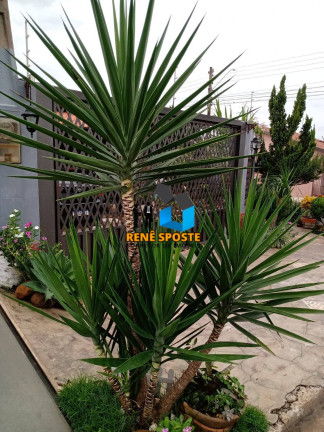 Imagem Casa com 3 Quartos à Venda, 307 m² em Jardim Botânico - São Pedro