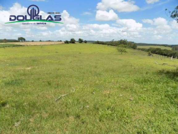 Imagem Chácara com 2 Quartos à Venda, 190.000 m² em Viamão Imagem Chácara com 2 Quartos à Venda, 190.000 m² em Viamão