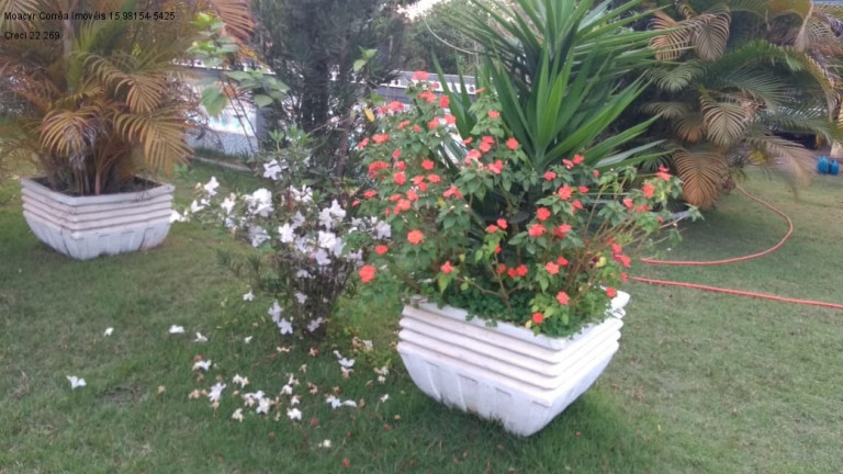 Imagem Imóvel com 3 Quartos à Venda, 2.300 m² em Jardim Colonial 1 - Araçoiaba Da Serra Imagem Imóvel com 3 Quartos à Venda, 2.300 m² em Jardim Colonial 1 - Araçoiaba Da Serra