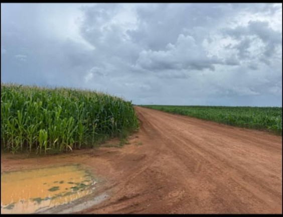 Terreno à Venda, 200 m² em Sorriso