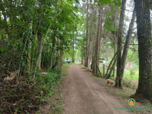 Imagem Terreno à Venda, 96.800 m² em Jardim Museu - Cotia Imagem Terreno à Venda, 96.800 m² em Jardim Museu - Cotia
