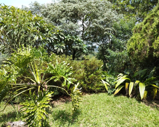 Imagem Chácara com 3 Quartos à Venda, 8.000 m² em Terra Preta (terra Preta) - Mairiporã
