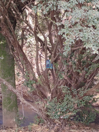 Imagem Imóvel com 3 Quartos à Venda, 1.300 m² em Zona Rural - Piracema