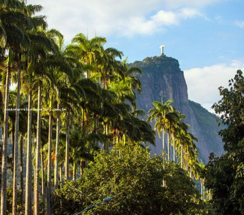 Imagem Imóvel com 3 Quartos à Venda, 123 m² em Jardim Botânico - Rio De Janeiro Imagem Imóvel com 3 Quartos à Venda, 123 m² em Jardim Botânico - Rio De Janeiro