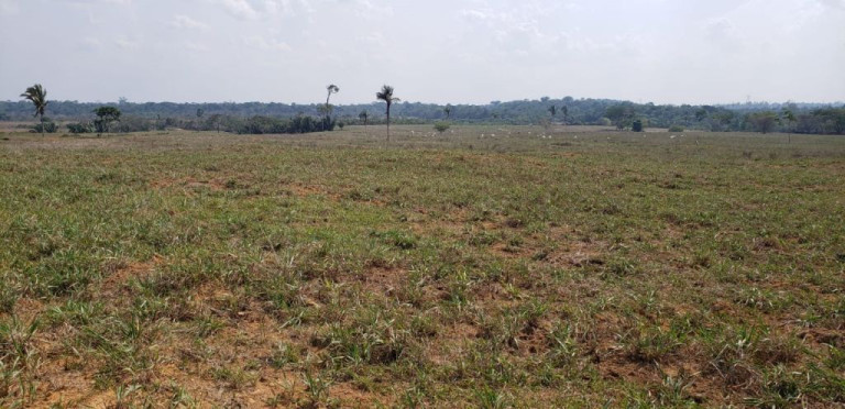 Imagem Imóvel com 5 Quartos à Venda, 4.017.000 m² em Zona Rural