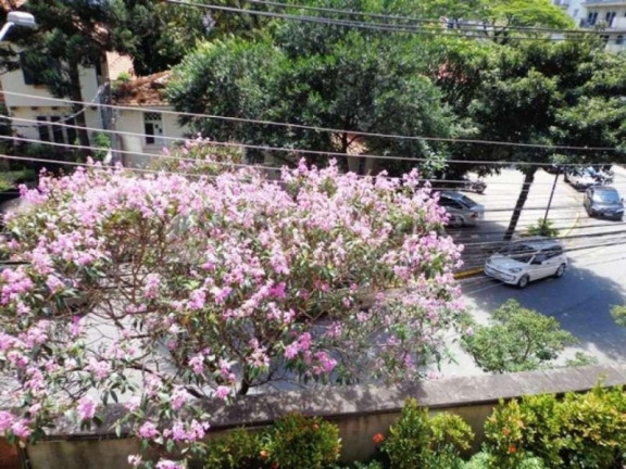 Imagem Apartamento com 4 Quartos à Venda, 390 m² em Higienópolis - São Paulo Imagem Apartamento com 4 Quartos à Venda, 390 m² em Higienópolis - São Paulo