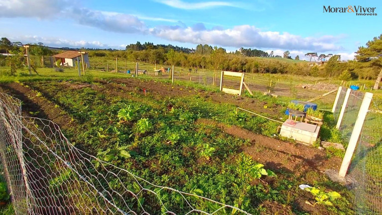 Imagem Imóvel à Venda, 32.800 m² em Ambrósio - Tijucas Do Sul