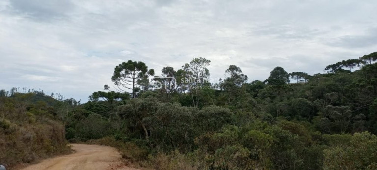 Imagem Imóvel à Venda, 20.000 m² em Bairro Do Charco - Delfim Moreira Imagem Imóvel à Venda, 20.000 m² em Bairro Do Charco - Delfim Moreira