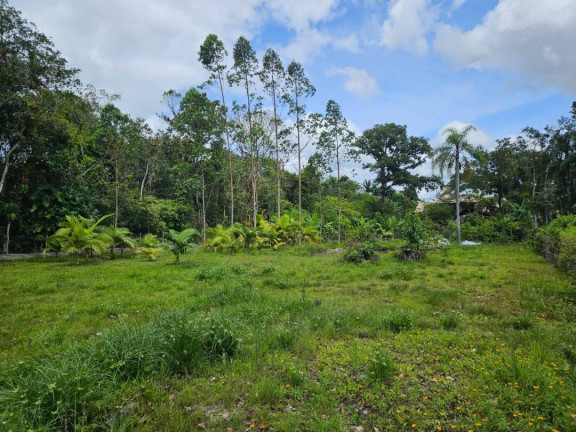 Imagem Casa com 3 Quartos à Venda, 210 m² em Balneário Barra Do Sul