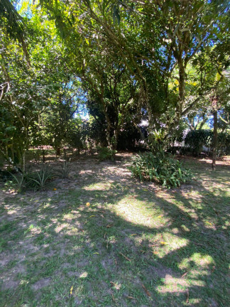 Imagem Casa com 3 Quartos à Venda, 2.000 m² em Barra Grande - Marau Imagem Casa com 3 Quartos à Venda, 2.000 m² em Barra Grande - Marau