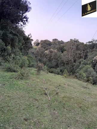 Imagem Imóvel à Venda, 20.000 m² em Ipê - São José Dos Pinhais Imagem Imóvel à Venda, 20.000 m² em Ipê - São José Dos Pinhais