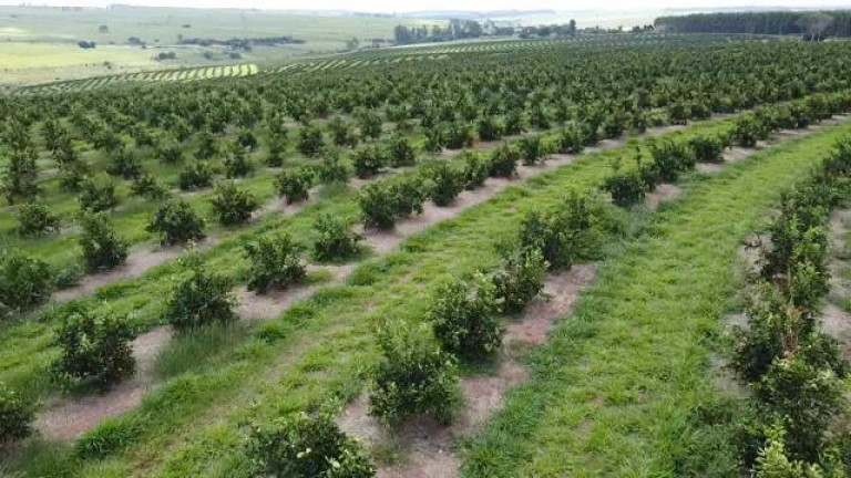 Imagem Fazenda à Venda, 121 m² em Rio Pardo - águas De Santa Bárbara