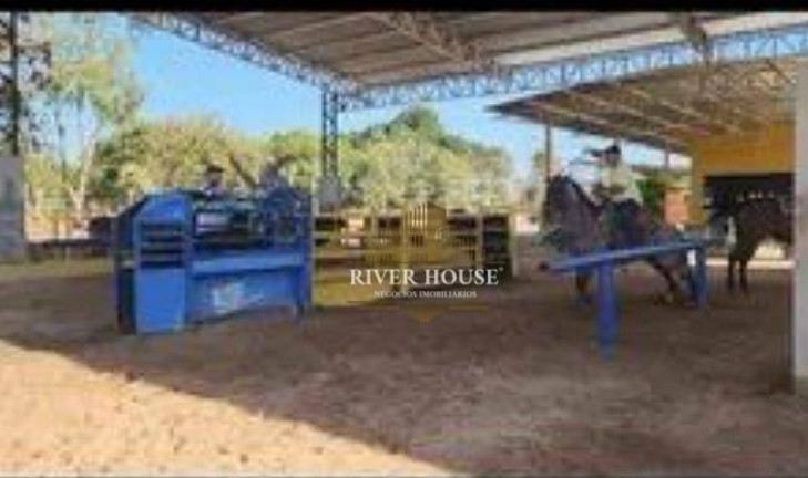 Imagem Fazenda à Venda, 23.000 m² em Novo Colorado - Cuiabá Imagem Fazenda à Venda, 23.000 m² em Novo Colorado - Cuiabá