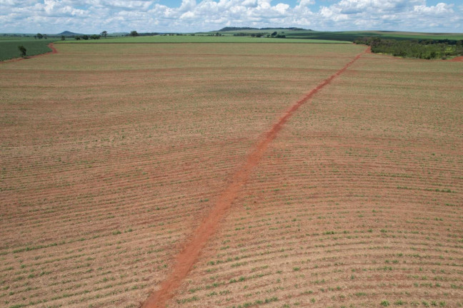 Imagem Chácara à Venda, 13 m² em Zona Rural - Morro Agudo Imagem Chácara à Venda, 13 m² em Zona Rural - Morro Agudo