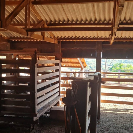 Imagem Fazenda à Venda, 581 m² em Getulio Vargas - Guiratinga Imagem Fazenda à Venda, 581 m² em Getulio Vargas - Guiratinga