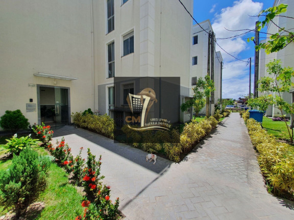 Imagem Apartamento com 2 Quartos para Alugar, 45 m² em Piedade - Jaboatão Dos Guararapes Imagem Apartamento com 2 Quartos para Alugar, 45 m² em Piedade - Jaboatão Dos Guararapes