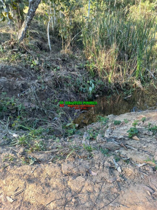 Chácara à Venda, 20.000 m² em Centro - Monteiro Lobato