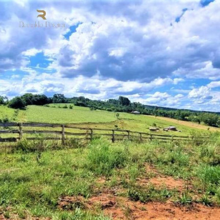Imagem Chácara à Venda, 20.000 m² em Gravataí Imagem Chácara à Venda, 20.000 m² em Gravataí