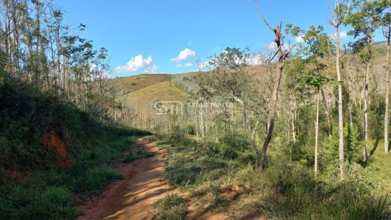 Imagem Imóvel à Venda, 1.477.200 m² em Bairro Bom Retiro - Bananal
