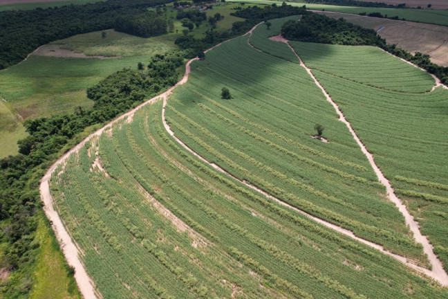Imagem Chácara à Venda, 16 m² em Zona Rural - Cajuru Imagem Chácara à Venda, 16 m² em Zona Rural - Cajuru