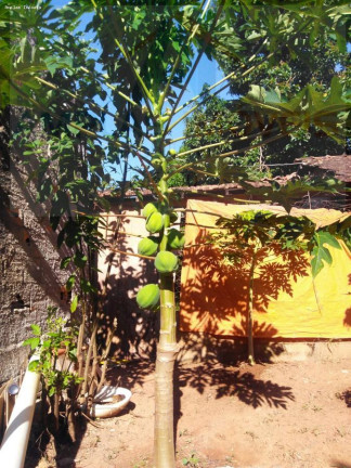 Imagem Casa à Venda, 100 m² em Vila Maria Regina - Juatuba Imagem Casa à Venda, 100 m² em Vila Maria Regina - Juatuba