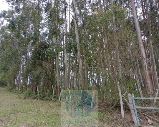 Imagem Imóvel com 2 Quartos à Venda, 150.000 m² em Rural - Jacuí Imagem Imóvel com 2 Quartos à Venda, 150.000 m² em Rural - Jacuí
